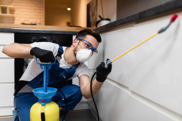 Best Pest Control Near Me in Manchester, MD