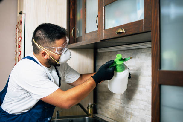 Best Affordable Pest Control Services  in Manchester, MD