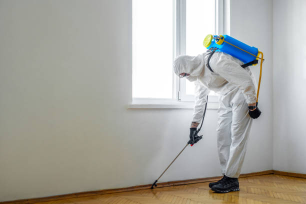 Best Residential Pest Control  in Manchester, MD