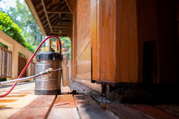 Best Exterminator Services  in Manchester, MD