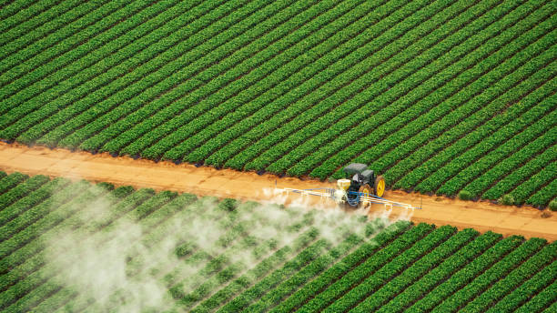 Best Mosquito Control Services  in Manchester, MD