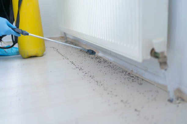 Pest Control Cost in Manchester, MD