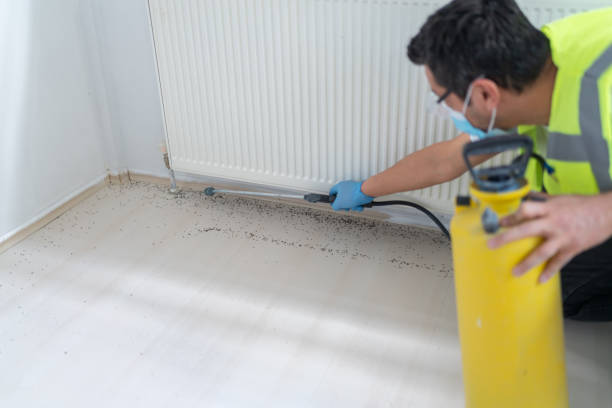 Best Pest Prevention Services  in Manchester, MD